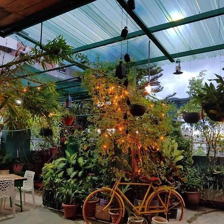 The Nook Rooftop Condo And Garden Ґувахаті Екстер'єр фото