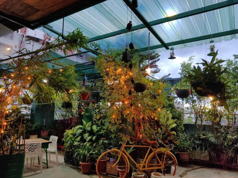 The Nook Rooftop Condo And Garden Ґувахаті Екстер'єр фото